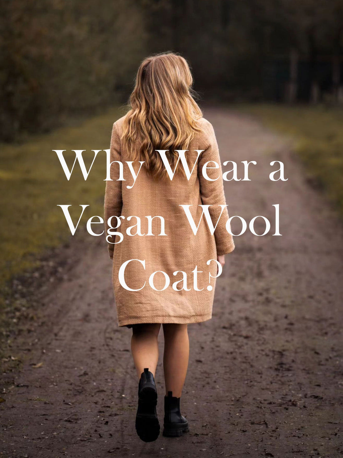 Why Wear a Vegan Wool Coat?