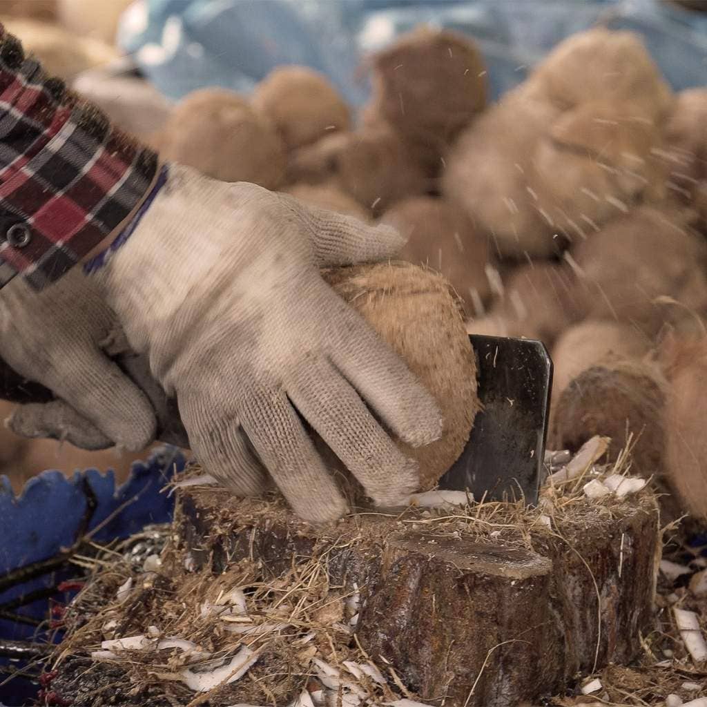 Jungle Culture Coconut Bowls - Jumbo Bowl & Spoon Combo (Cosmos)