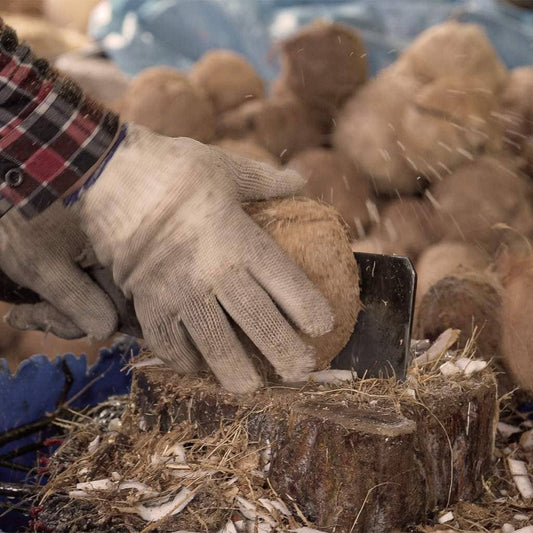 Jungle Culture Coconut Bowls - Jumbo Bowl & Spoon Combo (Cosmos) | 