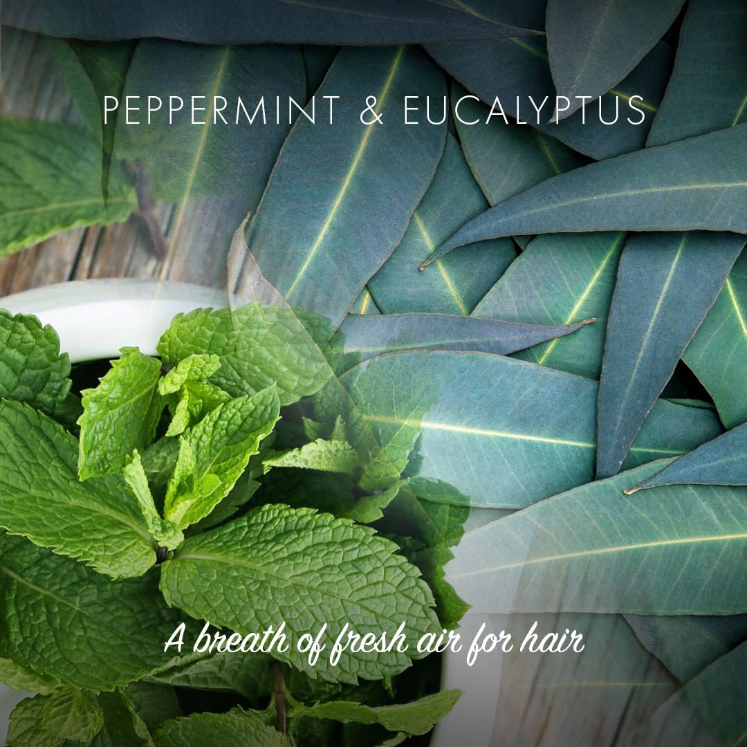 Friendly Soap Peppermint Eucalyptus Conditioner Bar | Will's Vegan Store