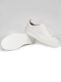 Women's Biodegradable Ny Sneakers | Will's Vegan Store
